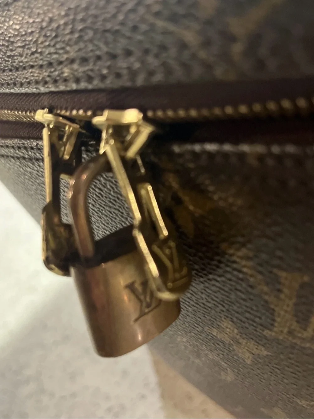 Louis Vuitton monogram canvas